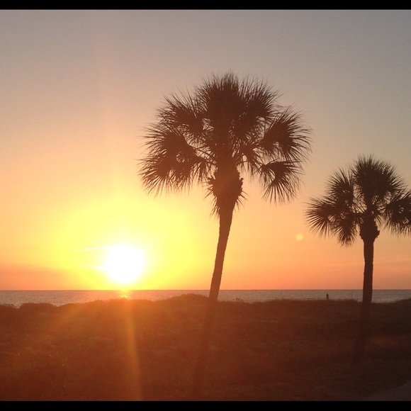 Meet your Posher, Anne - Picture 1 of 2